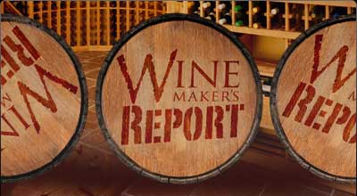 The Winemaker's Report for ZK28 Wines
